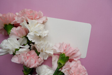Pale pink and white carnation flower composition with blank letter paper on pink background. Flowers and blank card decoration background for mother's day, Women's day and anniversary design.