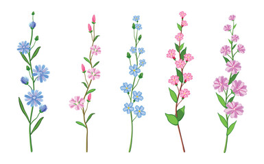 Set of beautiful twigs with small flowers in cartoon style. Vector illustration of different colored wildflowers with blue, pink, purple flowers and green leaves isolated on white background.