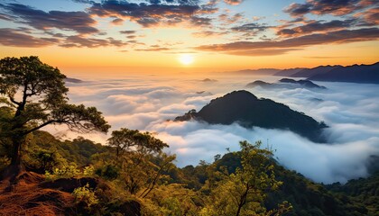 Fototapeta na wymiar View of the sea of clouds from the top of the mountain peak. Tropical rainforest with vibrant morning reflection of the sunrise.