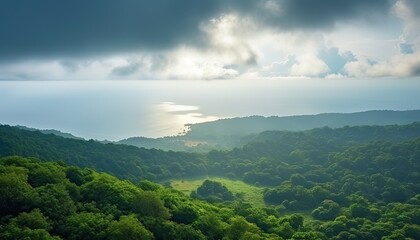Fototapeta premium View of the sea of clouds from the top of the mountain peak before storm. Tropical rainforest.