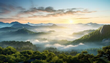 View of the sea of clouds from the top of the mountain peak. Tropical rainforest with vibrant morning reflection of the sunrise. - obrazy, fototapety, plakaty