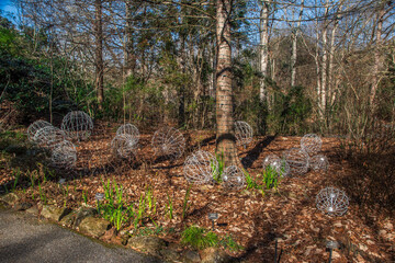 Unlit Lights in the Garden in the Afternoon, The State Botanical Garden of Georgia, Athens, Georgia