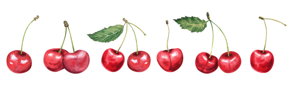 Watercolor cherry hand drawn illustration isolated.