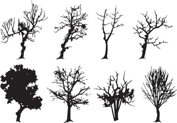Set Trees. Hand drawn vector illustration