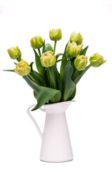 Elegant soft creamy yellow and green Verona tulips spring bouquet in white vase on white background. Spring tulips. Tulips bouquet cut out.