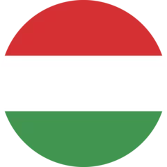 Fotobehang Hungary flag national emblem graphic element illustration template design. Flag of Hungary- vector illustration © Nigar