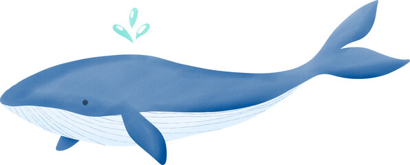 blue whale watercolor art hand drawn illustration isolated on transparent background 