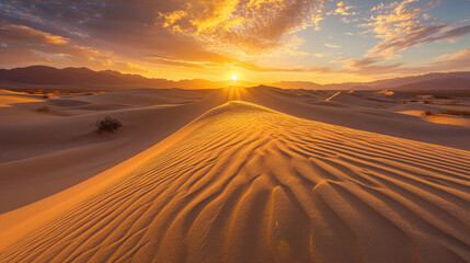 The golden hues of a desert sunset casting a warm glow over the textured dunes