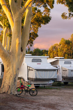 Caravans and a child's bike under tall gumtrees in a caravan park