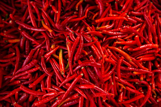 hundreds of spicy red chillies for sale