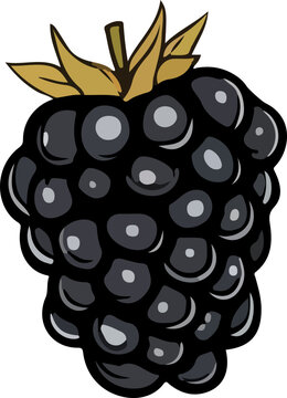 recommend clip art: berry vector design illustration isolated on transparent background
                    