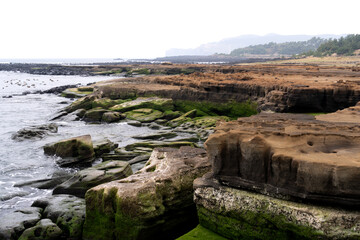 moss-covered rocks and cliff at the beach