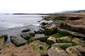 moss-covered rocks and cliff at the beach