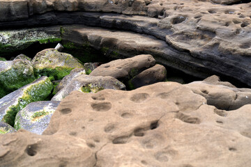moss-covered rocks and cliff at the beach