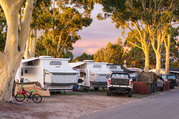 A row of caravans and 4 wheel drives under tall gumtrees in a caravan park