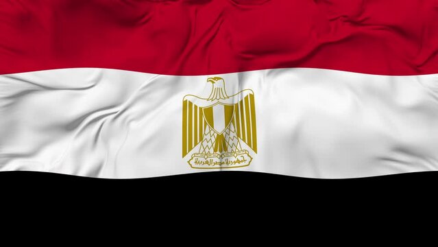 A beautiful view of the Egypt flag video. 3d flag-waving video. Egypt flag 4K resolution.