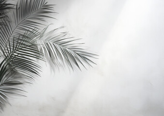 white wall texture with palm leaves, in the style of inky shadows, shaped canvas, contrasting shadows, high resolution, light gray and gray, scattered composition, soft-edged