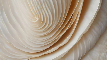 Deurstickers Shell texture. Macro photo of seashell © Inna Nyan