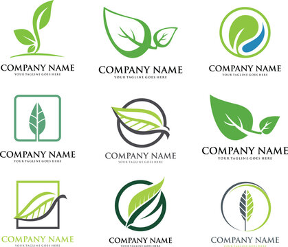 medical set modern leaf logo template