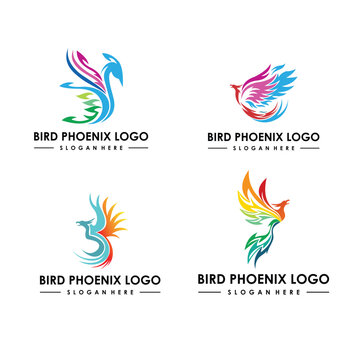 modern phoenix set logo template