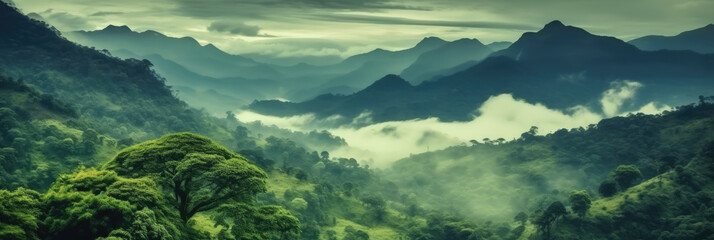 Fototapeta na wymiar misty panorama of the mountains, Foggy landscape in the jungle. Fog and cloud mountain tropic valley landscape.