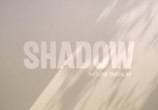 Nature Leaves Shadow Overlay Texture