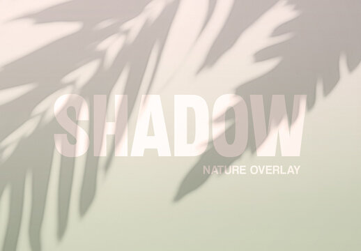 Palm Leaves Shadow Overlay Texture