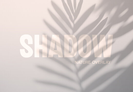 Realistic Palm Leaf Shadow Overlay Texture