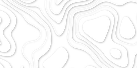 Abstract wavy line 3d paper cut white background. abstract white background with smooth wavy layers. silver grid map line topography mount contour map .