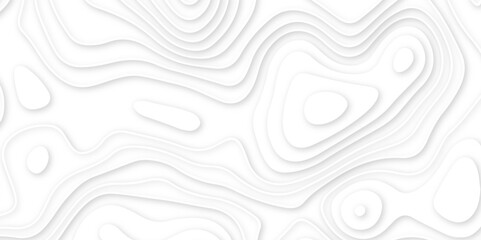 Obraz premium Abstract wavy line 3d paper cut white background. abstract white background with smooth wavy layers. silver grid map line topography mount contour map .