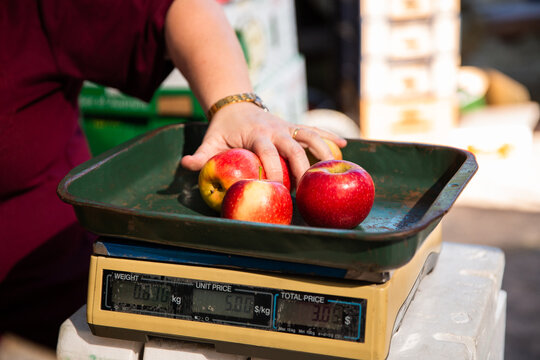 apples on a scale getting weighed