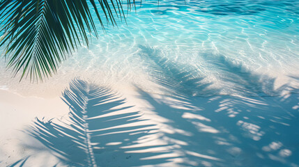 Fototapeta na wymiar Tropical leaf shadow on water surface. Shadow of palm leaves on white sand beach