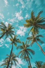 Fototapeta na wymiar Low angle view of tropical coconut palm trees with clear blue sky - AI Generated
