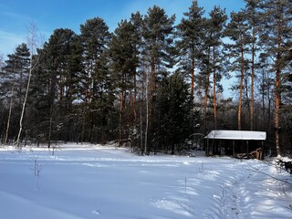 Beautiful winter landscape with a wooden house in the middle of the forest