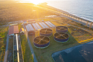 Aerial view of sewage treatment plant. Industrial water treatment with round water tanks for sewage recycling from drone view. Waste water management - obrazy, fototapety, plakaty