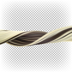 Women's hair is curly and highlighted. Vector isolated realistic 3D illustration. Long curl of dyed hair.