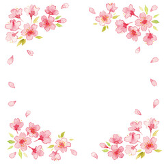 Fototapeta na wymiar 桜の花の水彩イラスト4