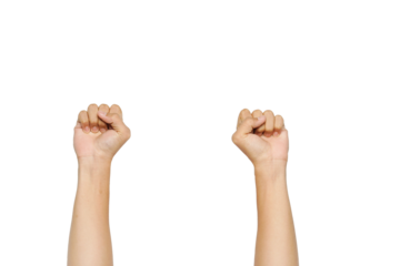 PNG Picture of Hand Gesture