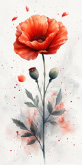 A watercolor painting of a red poppy flower