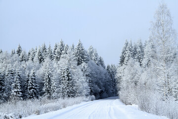 - 6. Latvian white winter landscape with country road