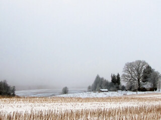 - a gray, calm day in the Latvian countryside