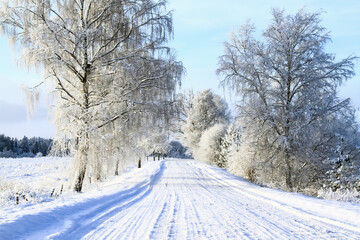 - 11. Latvian white winter landscape with country road