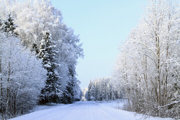 - a white winter day in the Latvian countryside