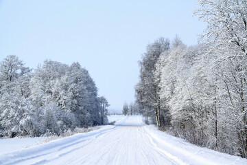 - Latvia's white winter landscape with country road