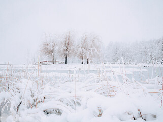 Winter landscape with a frozen lake - 715645509