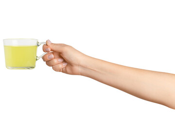 A woman's hand holds a cup of green herbal tea in a transparent glass cup. On a blank background