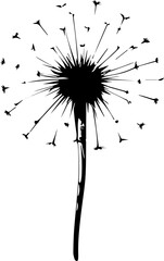 dandelion vector design illustration isolated on transparent background
