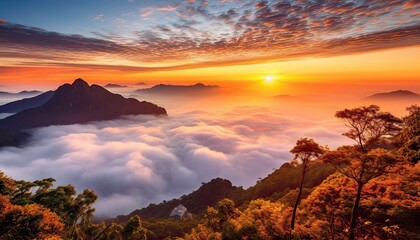 Fototapeta premium View of the sea of clouds from the top of the mountain peak. Tropical rainforest with vibrant morning reflection of the sunrise.