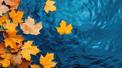 Autumn background. bright yellow-orange fallen maple leaves in dark blue water. autumn atmosphere image. symbol of fall season. flat lay. template for design