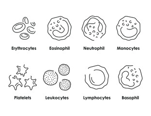 Blood cells color icons set. White blood cells, erythrocytes, platelets